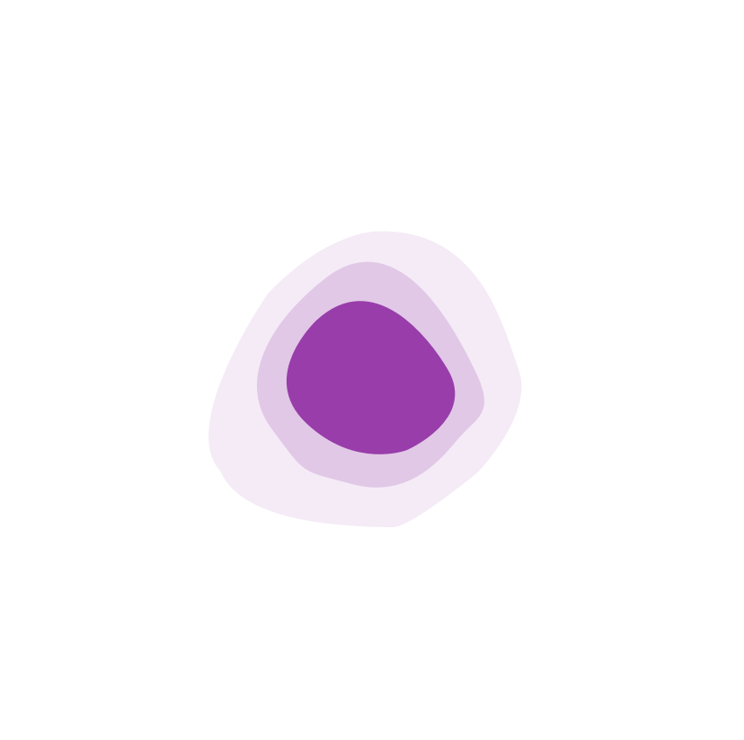 animation_placeholder